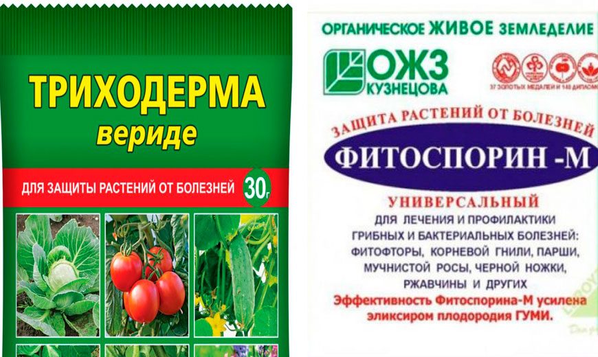 биофунгициды для лаванды