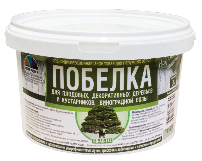 Побелка стволов яблонь осенью