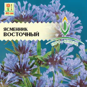 Ясменник или асперула