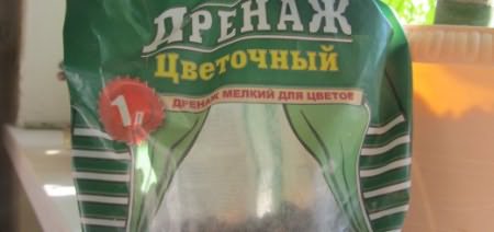 Как посадить грецкий орех
