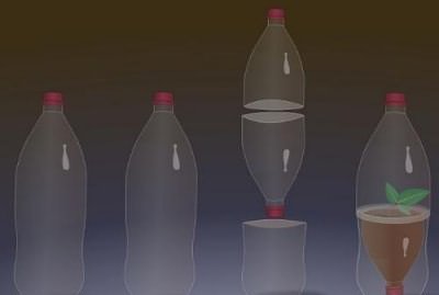 Как сделать теплицу для рассады