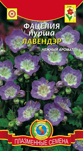 Фацелия Пурша