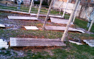 Укрытие винограда