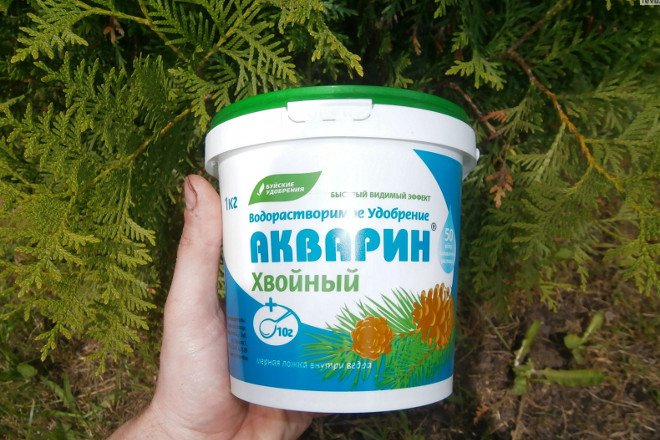 Акварин для туи