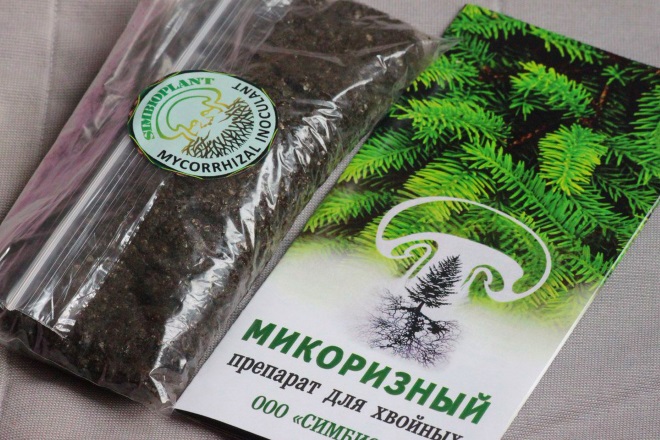 Микоризные препараты
