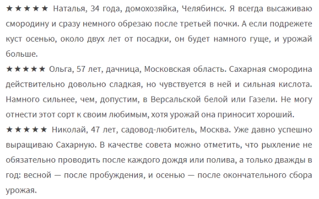 Отзывы о красной смородине