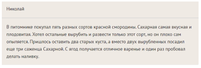 Отзывы о красной смородине