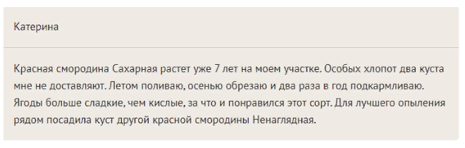 Отзывы о красной смородине