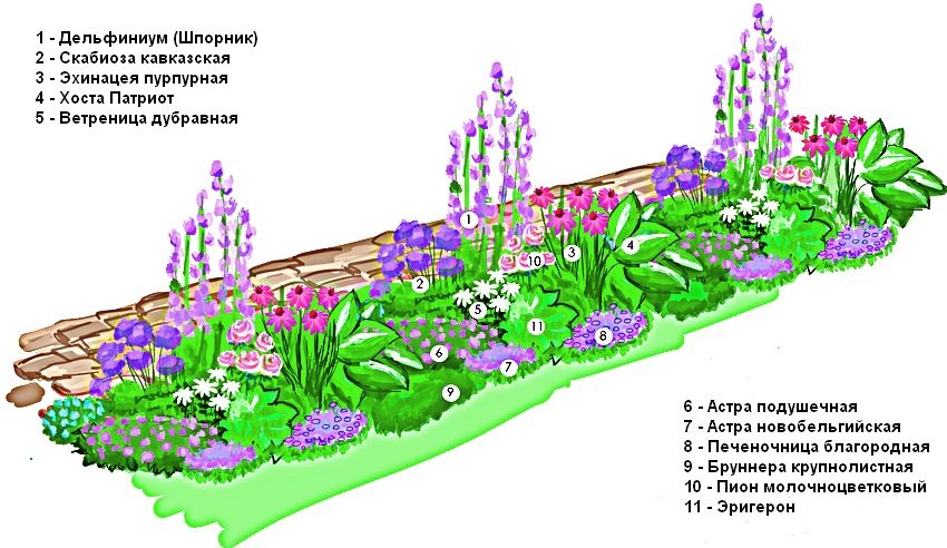Схема оформления рабатки, состоящей из многолетних растений