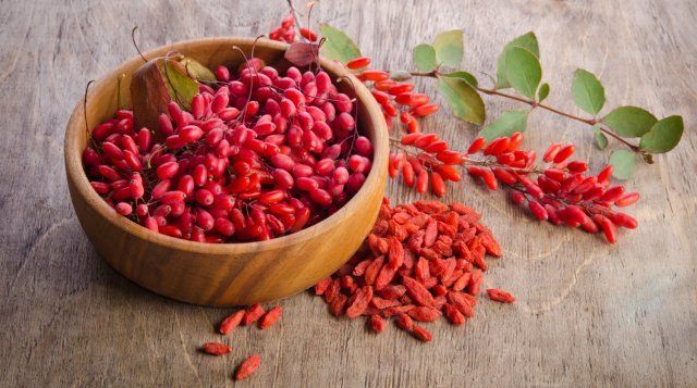 9 экстравагантных фруктовых деревьев и кустарников для вашего сада