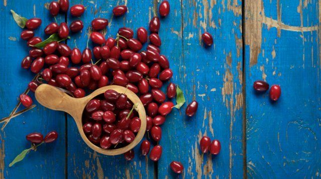 9 экстравагантных фруктовых деревьев и кустарников для вашего сада