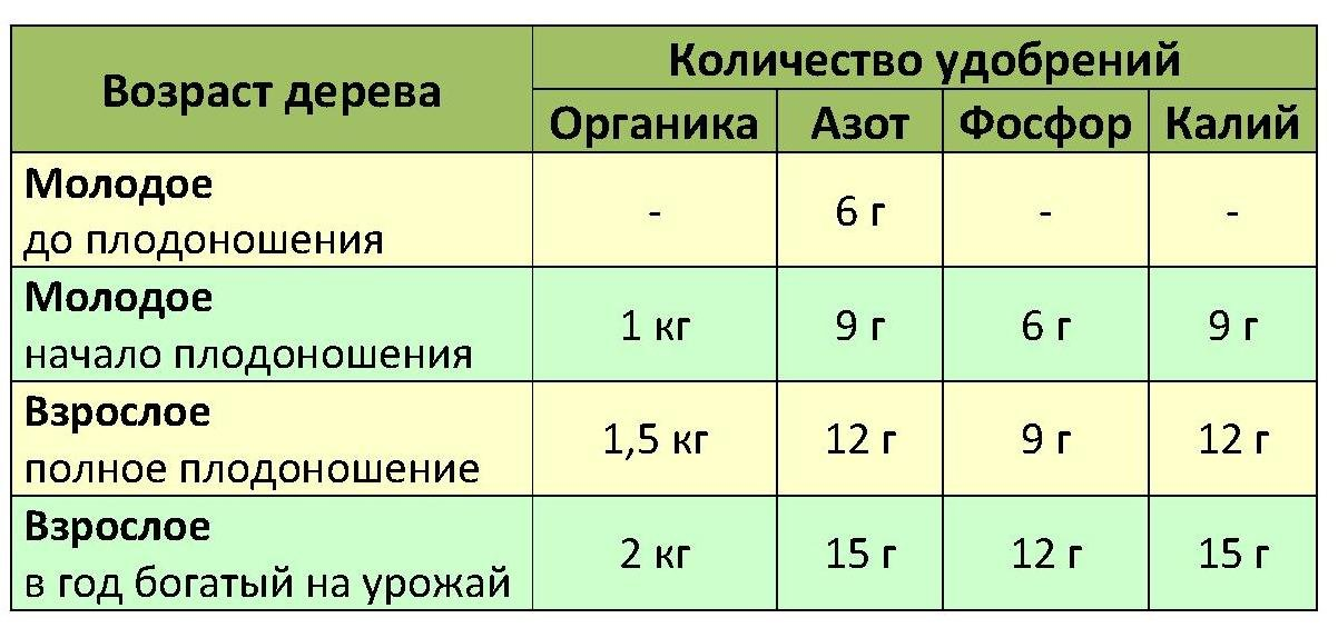 Подкормка сливы