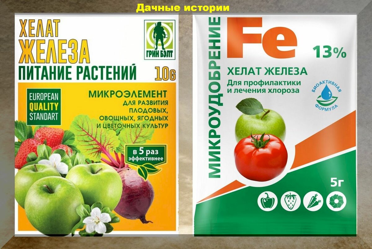 желтеют листья у гибискуса комнатного что делать