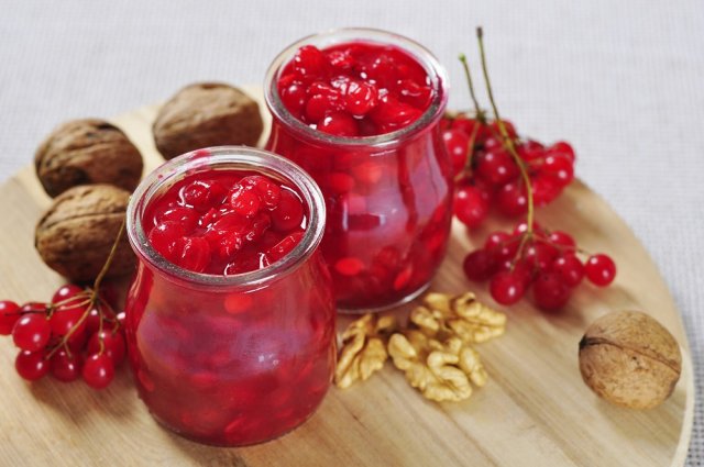 Зачем сажать калину на даче: все преимущества куста