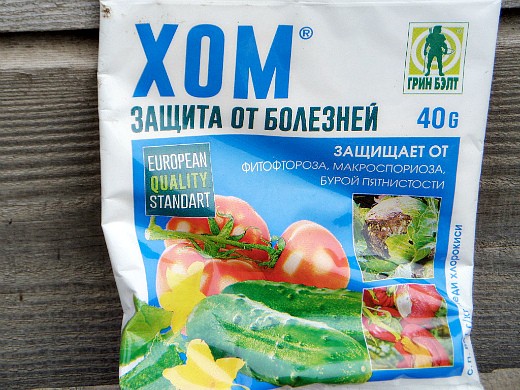 Болезни и вредители облепихи
