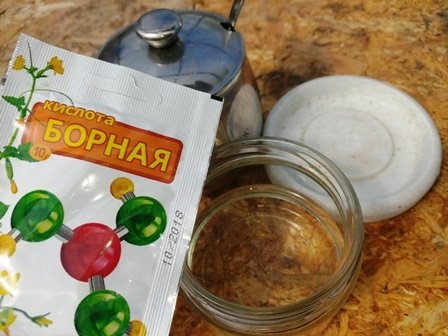 Как бороться с садовыми муравьями в цветнике, на грядке, в приствольных кругах деревьев