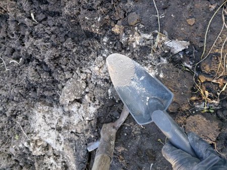 Как осенью подготовить грядки в теплице на будущий год