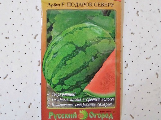 Лучшие сорта арбузов, с фото и описанием