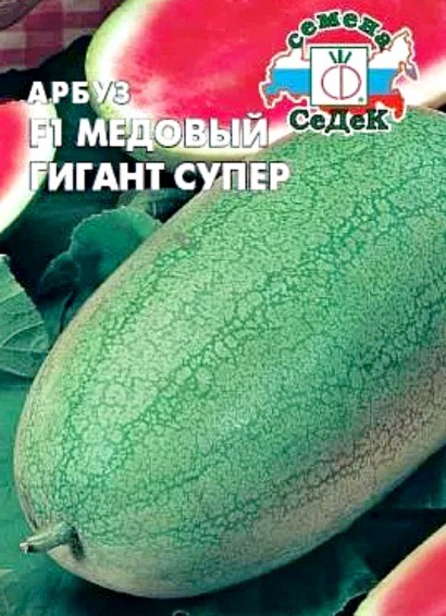 Лучшие сорта арбузов, с фото и описанием