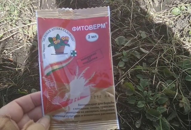 7 биопрепаратов, которые должны быть под рукой