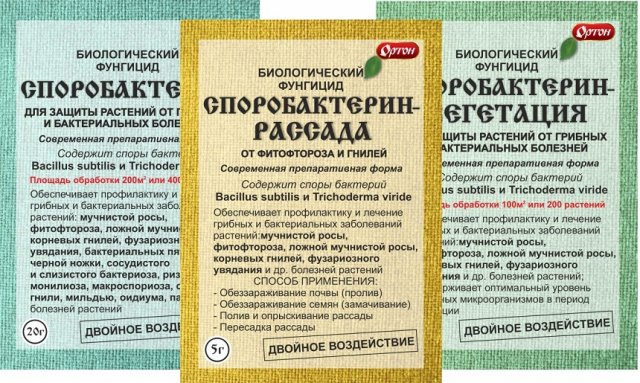 7 биопрепаратов, которые должны быть под рукой