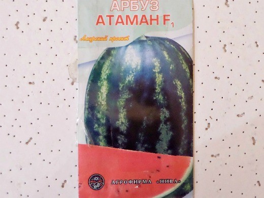 Лучшие сорта арбузов, с фото и описанием