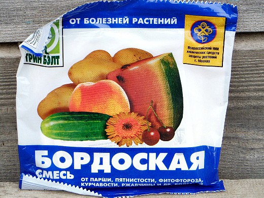 Как повысить урожайность малины