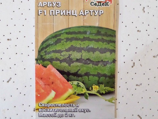 Лучшие сорта арбузов, с фото и описанием