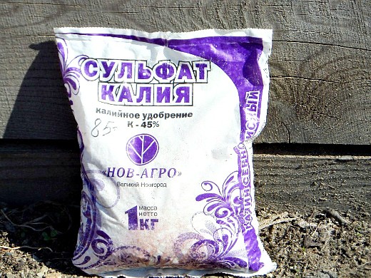 Как повысить урожайность моркови
