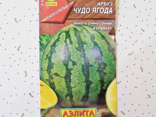 Лучшие сорта арбузов, с фото и описанием
