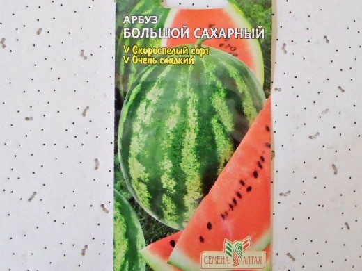 Лучшие сорта арбузов, с фото и описанием
