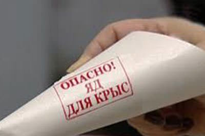 Выбирая способ уничтожить крыс и мышей на даче, не забывайте о собственной безопасности!