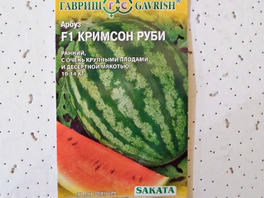 Лучшие сорта арбузов, с фото и описанием