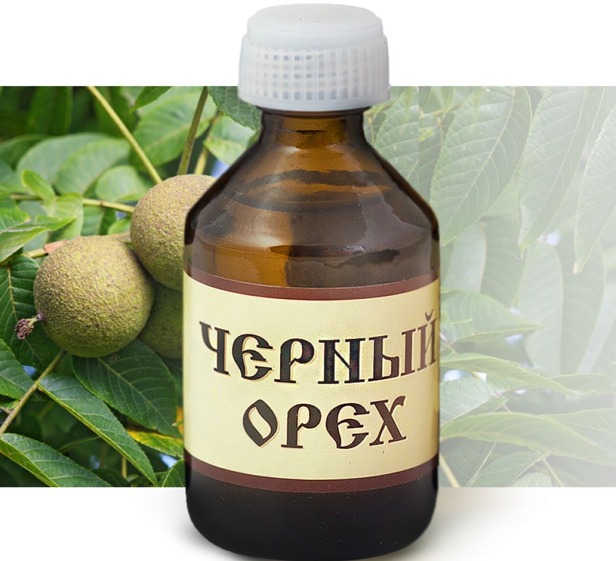 Масло черного ореха &ndash; очень эффективное и популярное средство, широко используемое для борьбы с паразитами