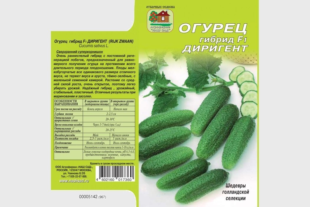 Диригент F1