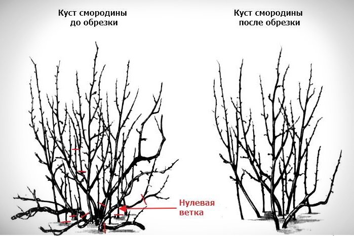 Обрезка кустов