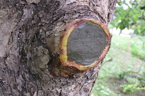 Цементный раствор