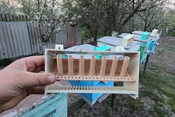 3Х «Апис»