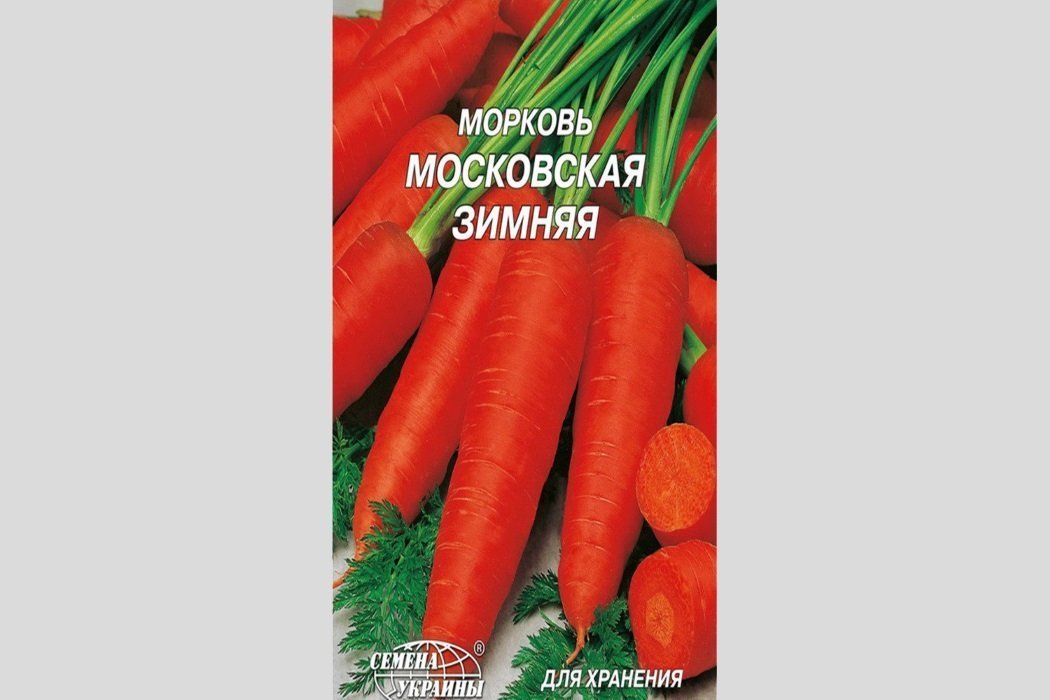 Московская зимняя