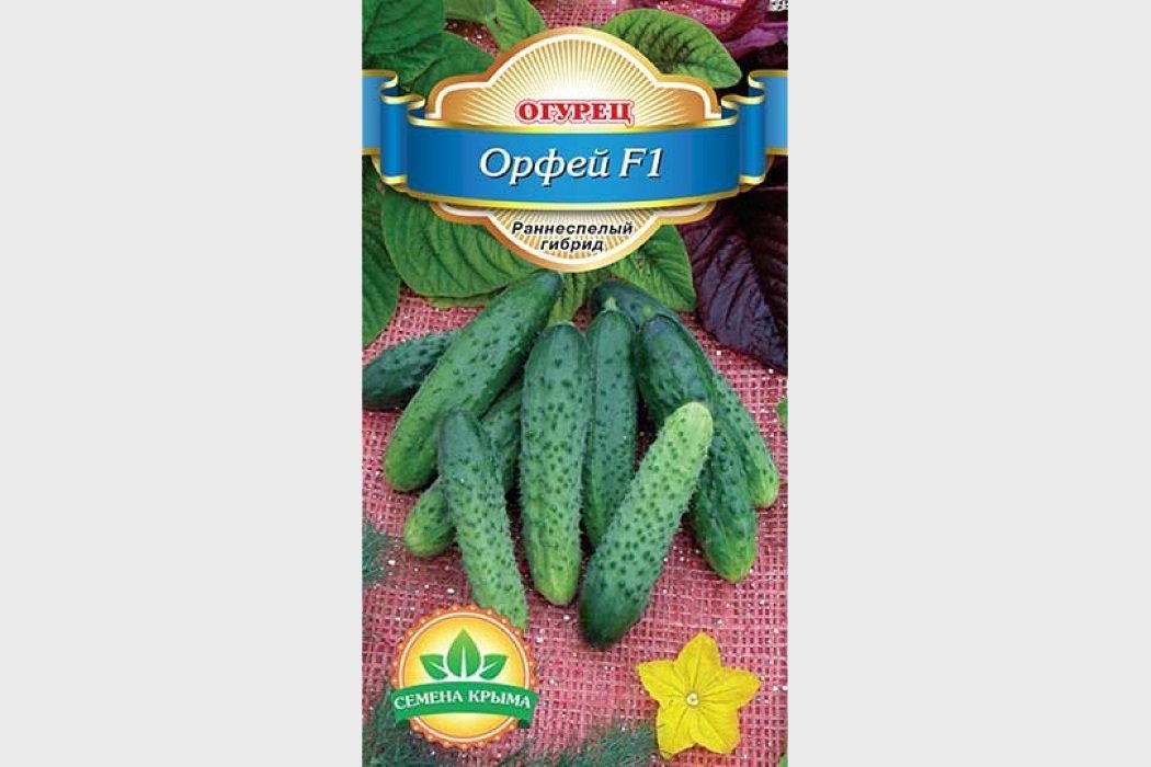 Орфей F1