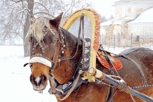 Русская