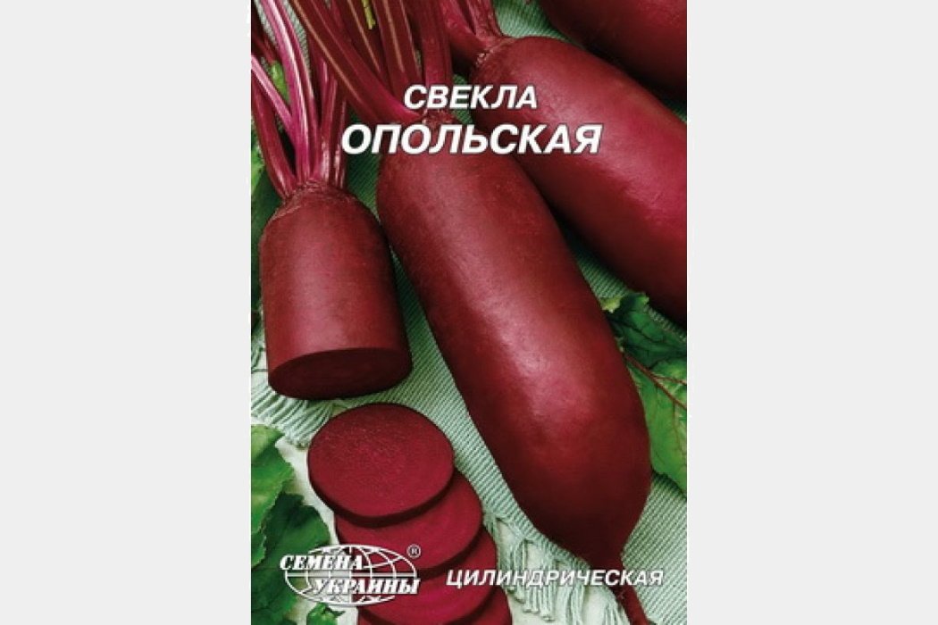 Опольска