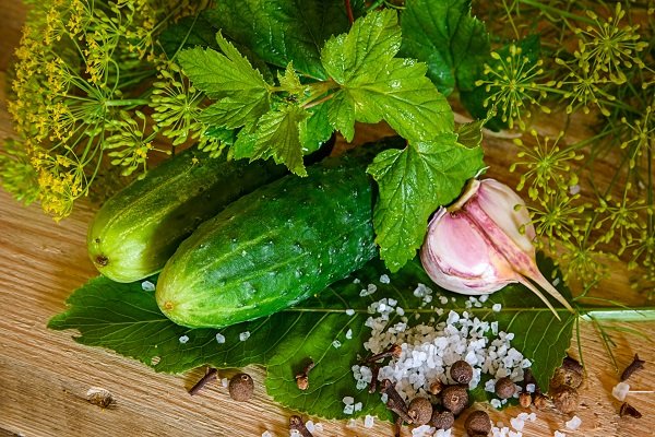 Огурцы для засолки