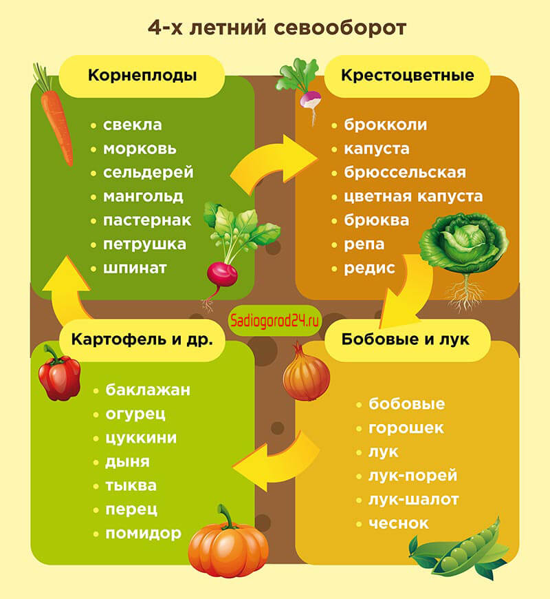 схема 4 летнего севооборота