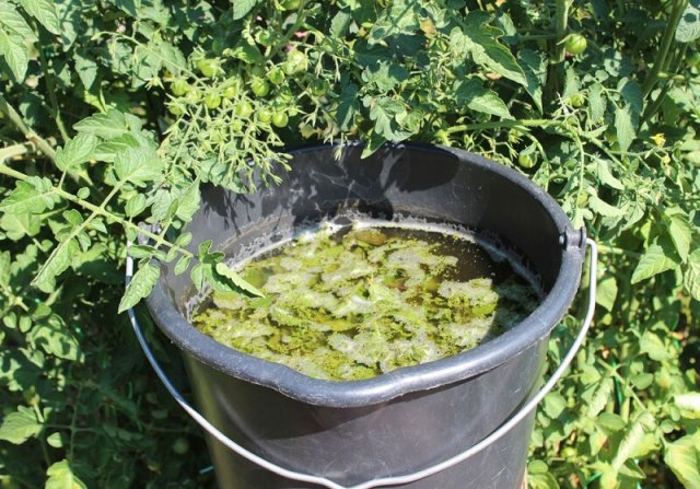 5 народных заправок для начала сезона