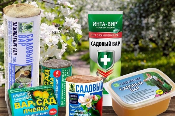 Садовый вар