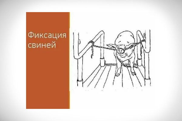 Фиксация