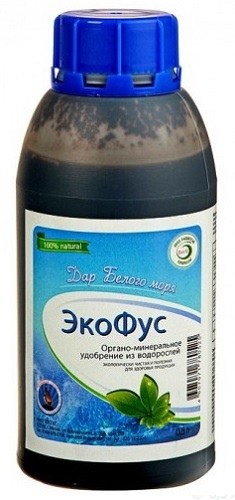&laquo;Экофус&raquo; на основе водорослей