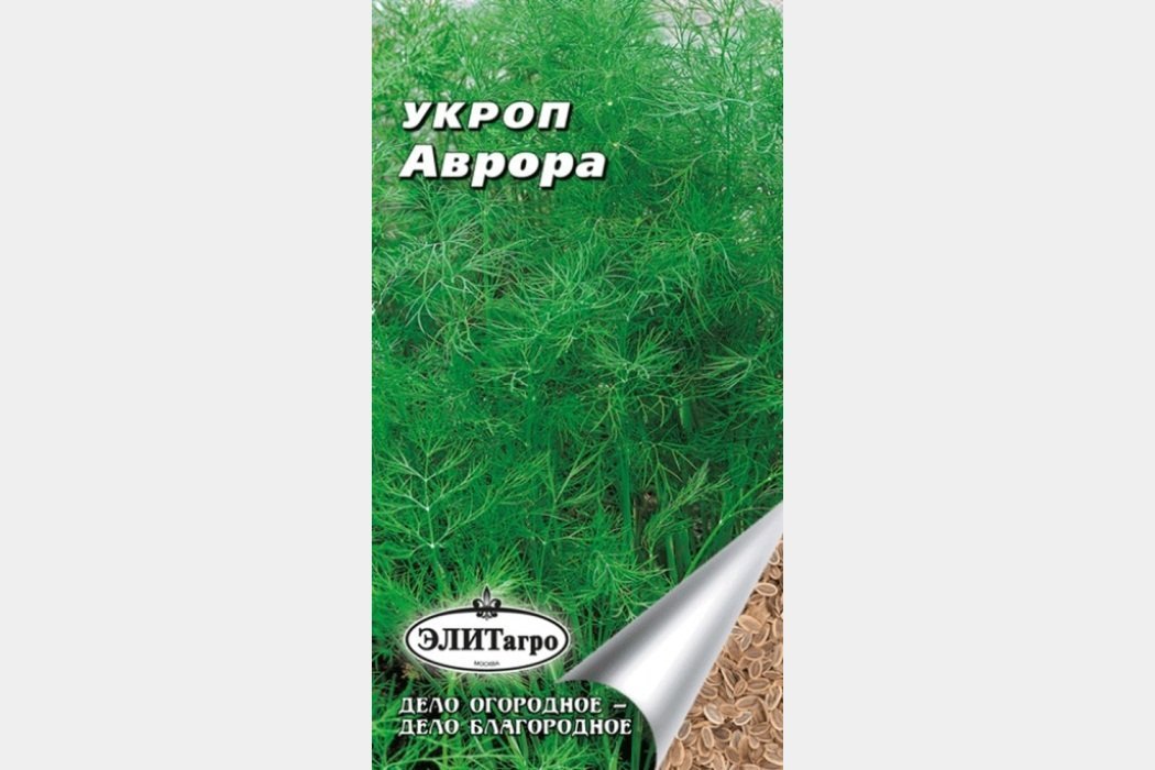 Аврора