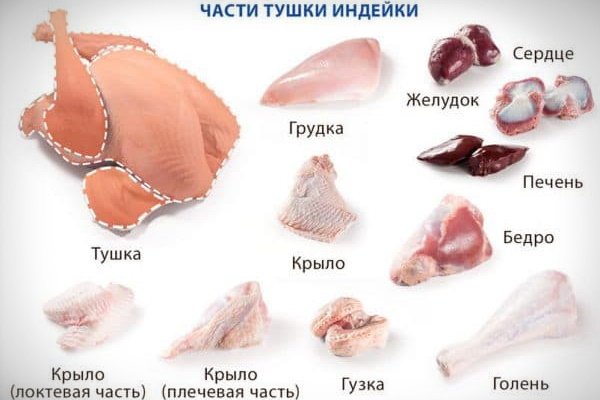 Разделка индюшки